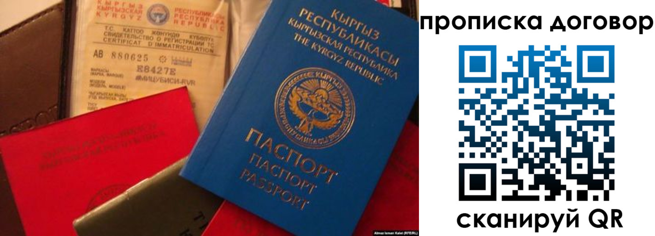 прописка законно в Светлом